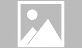 娱乐圈吃瓜熊姐是谁,揭秘幕后真相与热门事件